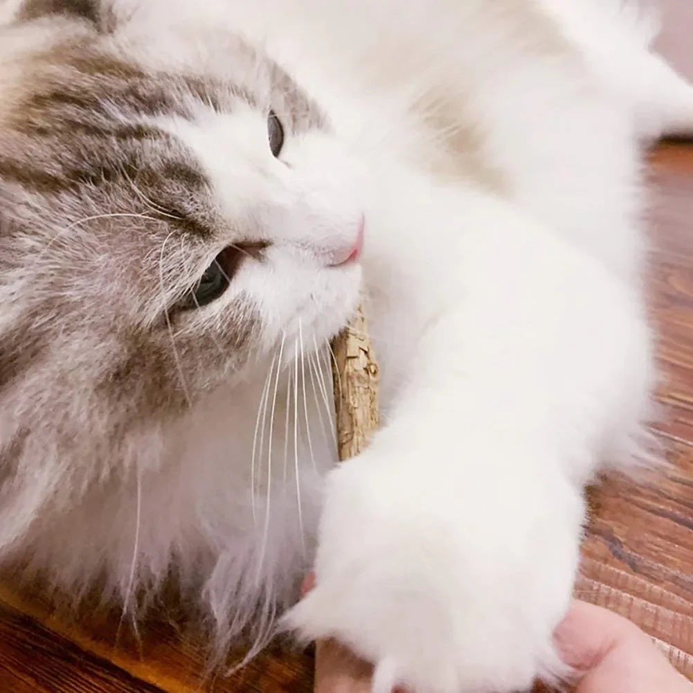 Matatabi Cat Chew Stick Set