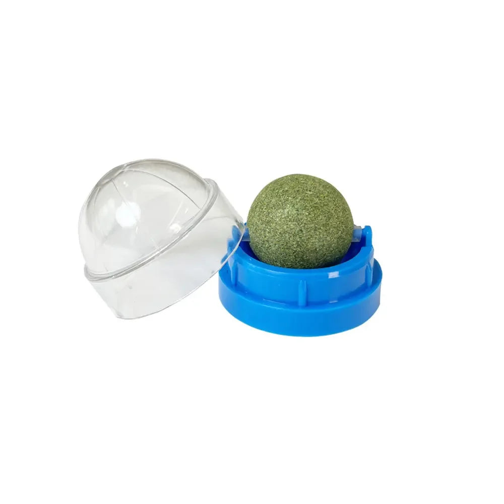 Catnip Wall Ball Cat Toy