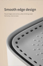 3L Filtered Cat Water Fountain