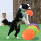 Soft Silicone Flying Disc Dog Toy