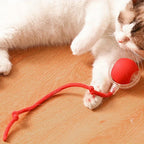 Rechargeable Interactive Cat Ball Toy