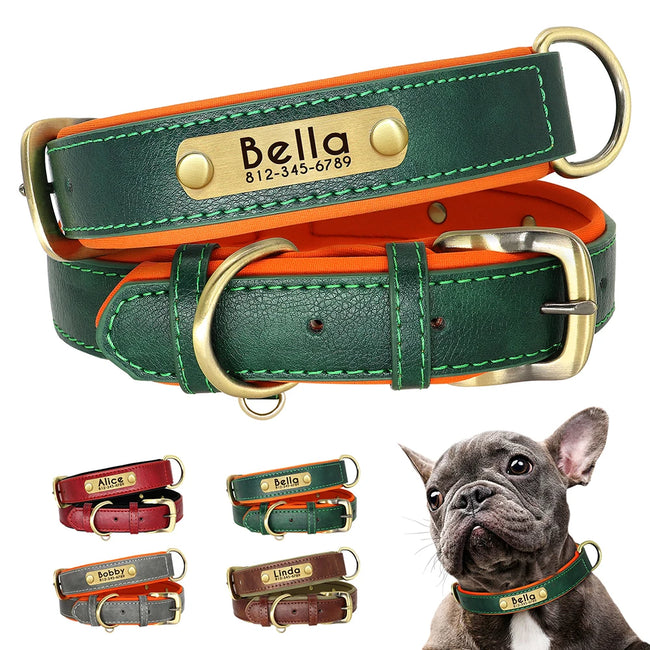 Personalized Engraved Dog Collar Hover Image