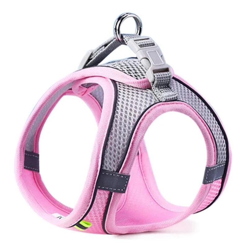 Adjustable Pet Harness Vest & Leash Set