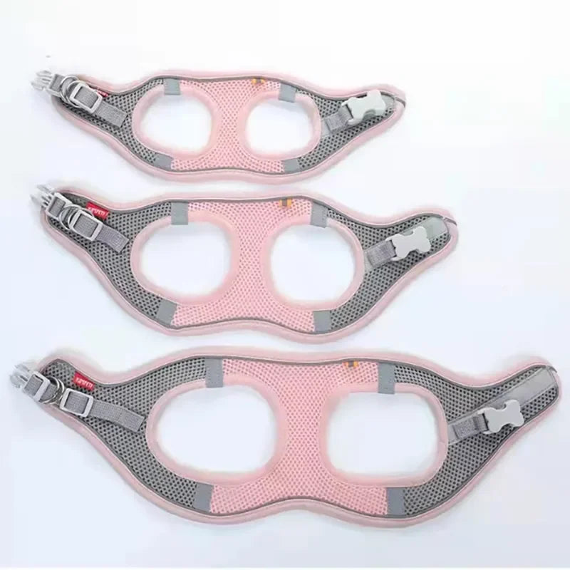 Adjustable Pet Harness Vest & Leash Set