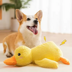 Duck Plush Dog Toy
