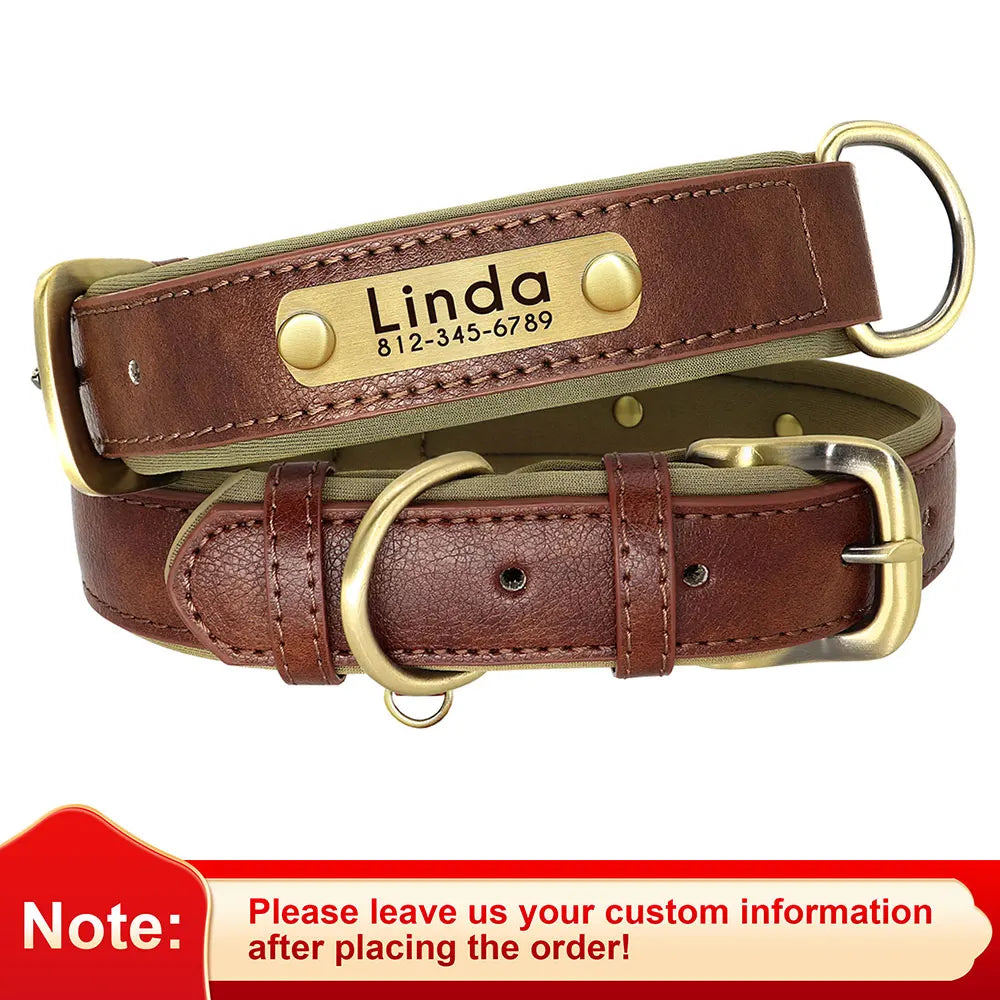 Personalized Engraved Dog Collar
