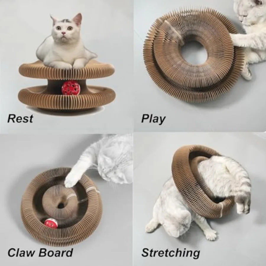 Foldable Accordion Cat Scratcher Toy
