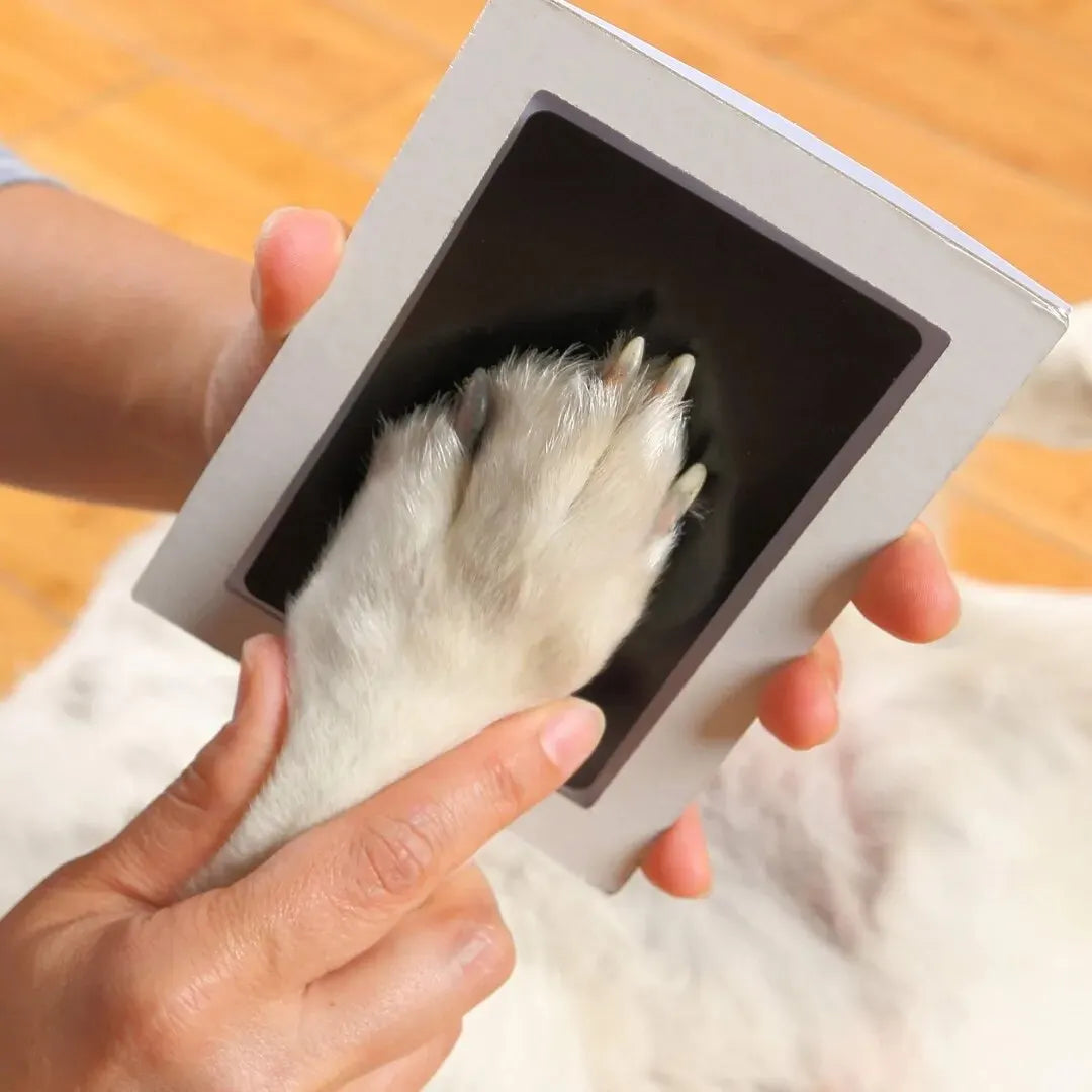 Clean Touch Paw Print Ink Pad