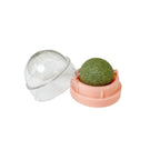 Catnip Wall Ball Cat Toy