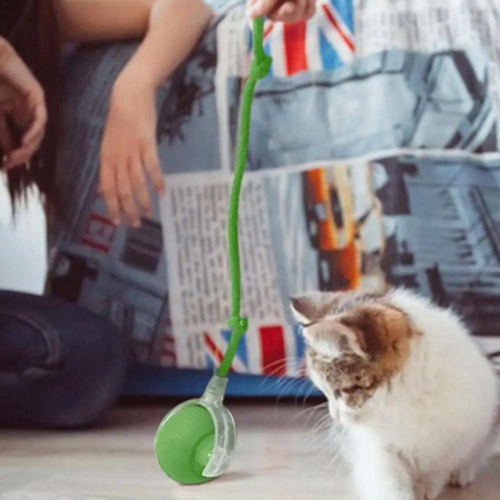 Rechargeable Interactive Cat Ball Toy