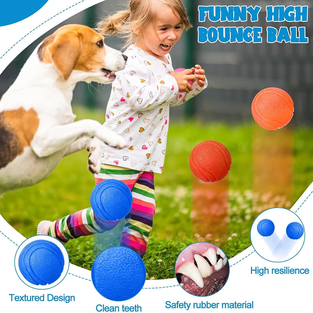 Bite-Resistant Rubber Dog Ball Toy