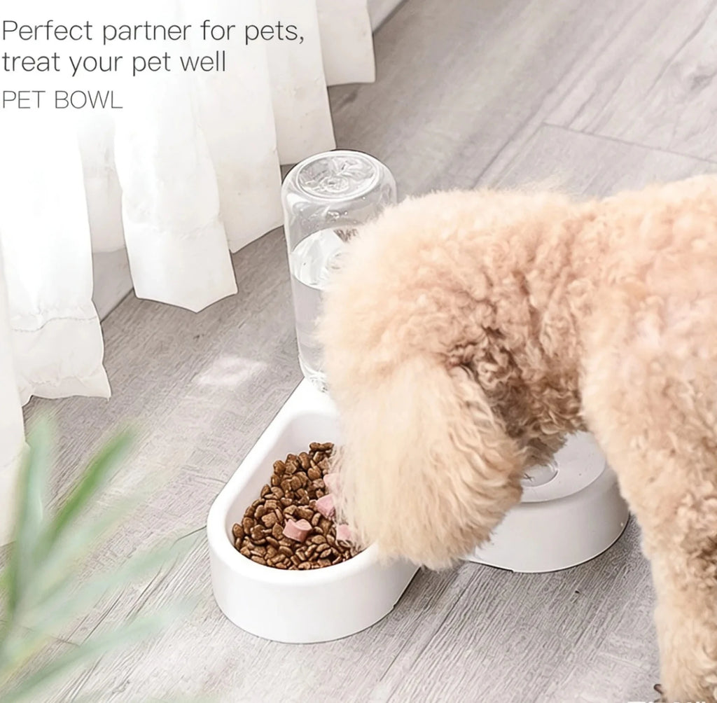 Automatic Pet Food & Water Bowl Set