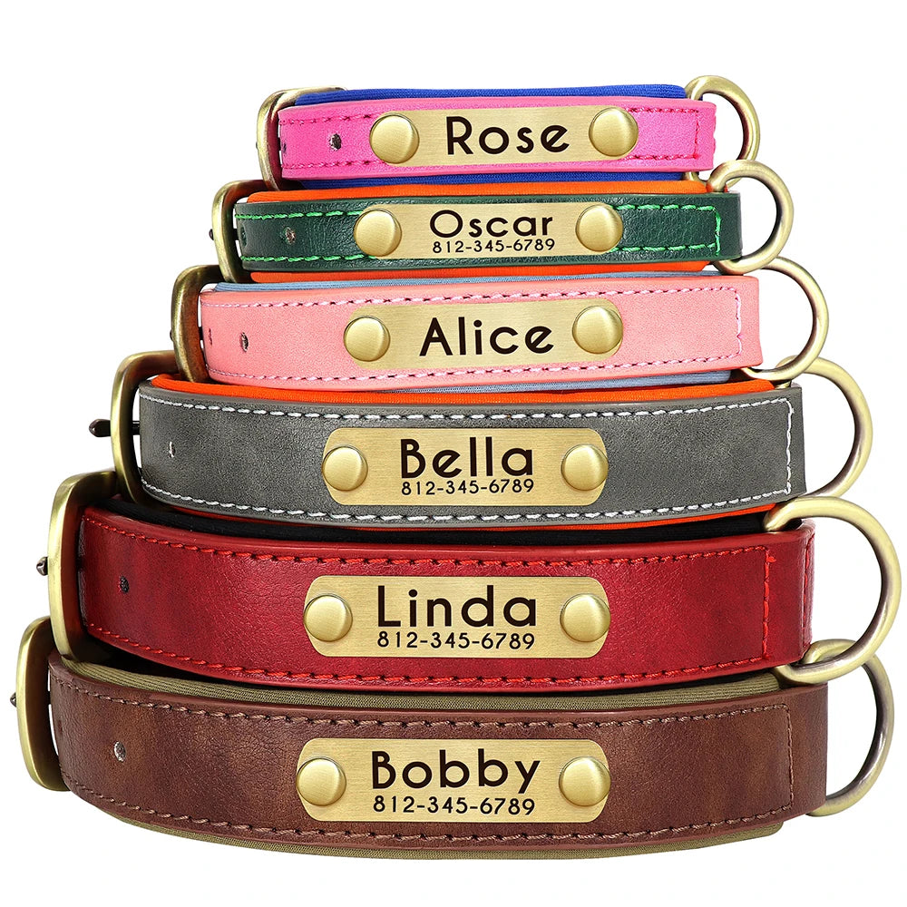 Personalized Engraved Dog Collar