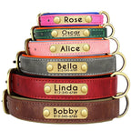 Personalized Engraved Dog Collar