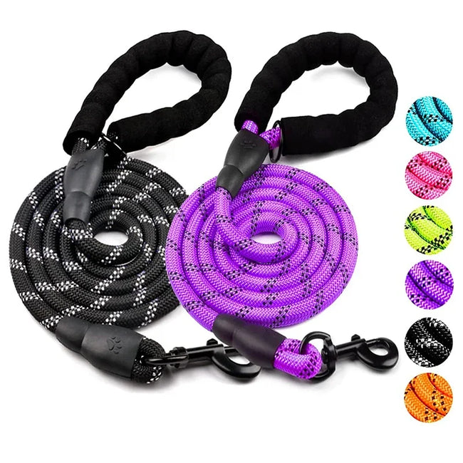 Reflective Dog Leash Hover Image