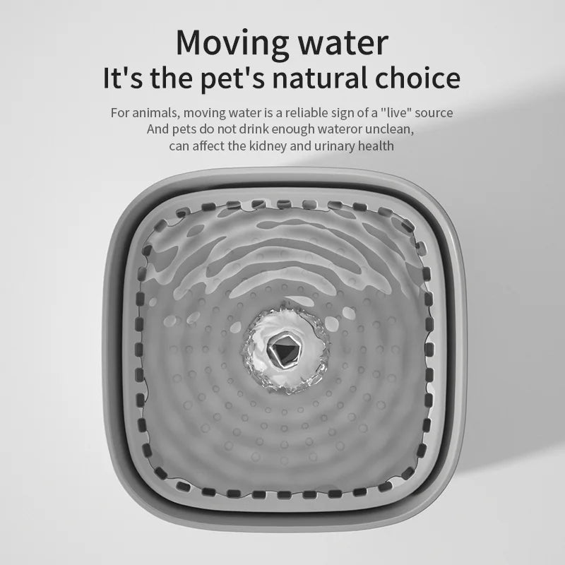 3L Filtered Cat Water Fountain