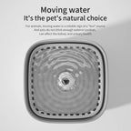 3L Filtered Cat Water Fountain