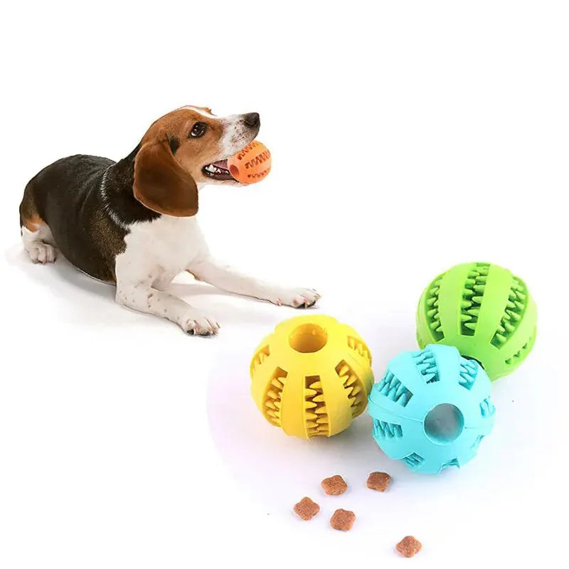 Dog Treat Dispensing Toy Ball