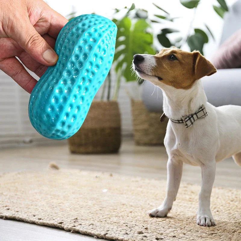 Peanut Dog Chew Toy