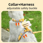 Adjustable Cat Harness and Leash Set
