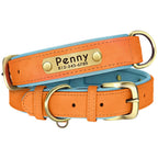 Personalized Engraved Dog Collar