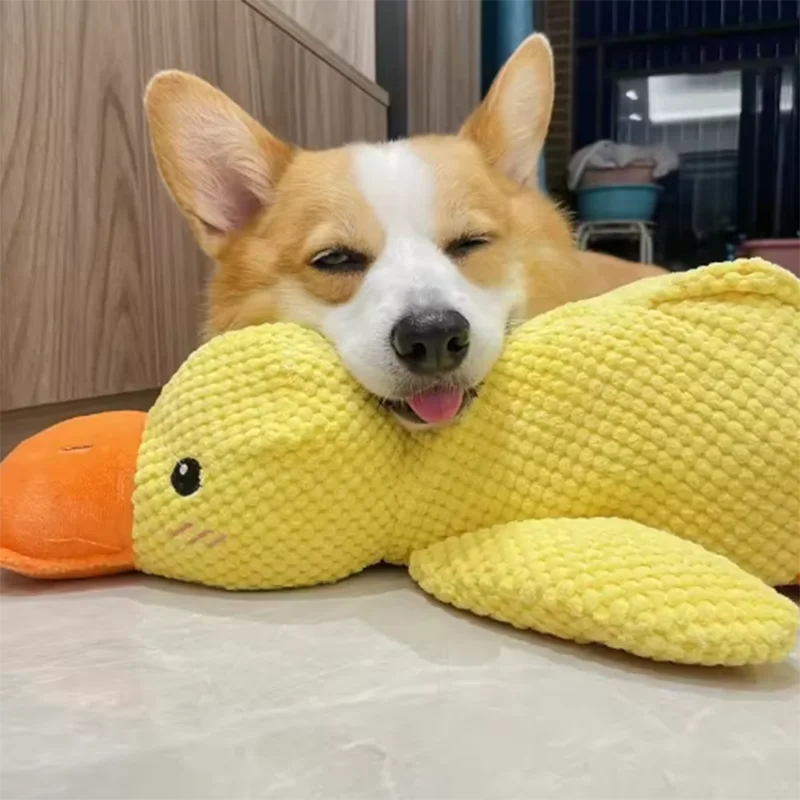 Duck Plush Dog Toy