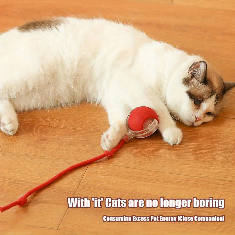 Rechargeable Interactive Cat Ball Toy