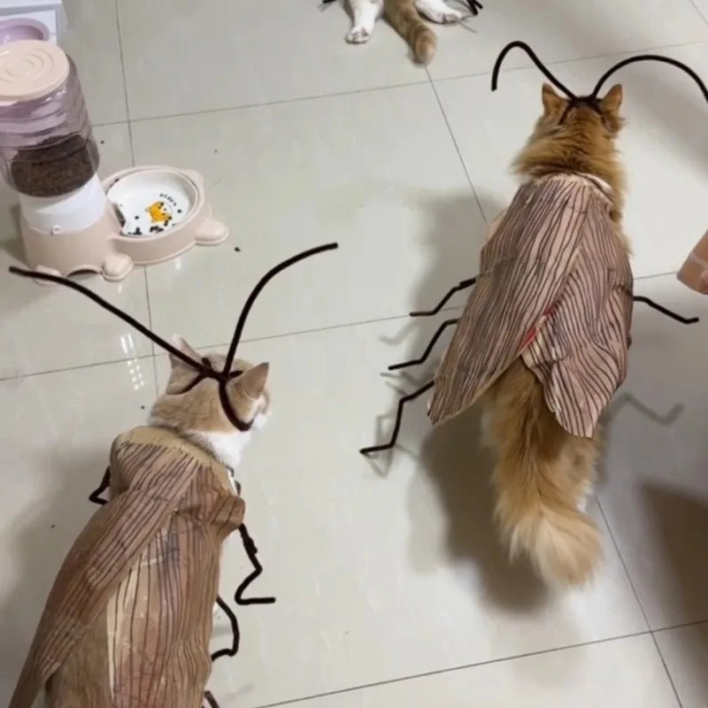 Grey cats wearing funny DIY cockroach wings and antenna costume