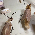 Grey cats wearing funny DIY cockroach wings and antenna costume