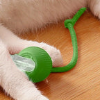 Rechargeable Interactive Cat Ball Toy
