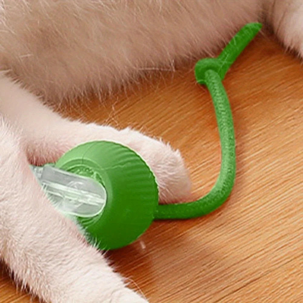 Rechargeable Interactive Cat Ball Toy