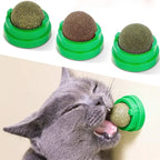 Catnip Wall Ball Cat Toy