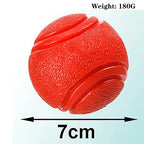 Bite-Resistant Rubber Dog Ball Toy