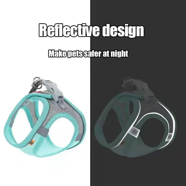 Adjustable Pet Harness Vest & Leash Set Main Image