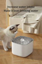 3L Filtered Cat Water Fountain