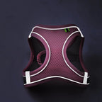 Adjustable Pet Harness Vest & Leash Set