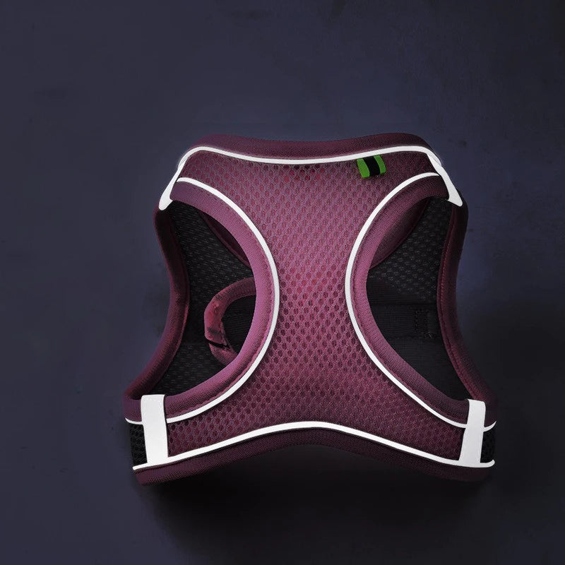 Adjustable Pet Harness Vest & Leash Set