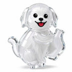 Pet Fur & Whisker Keepsake Magnet