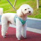 Adjustable Pet Harness Vest & Leash Set