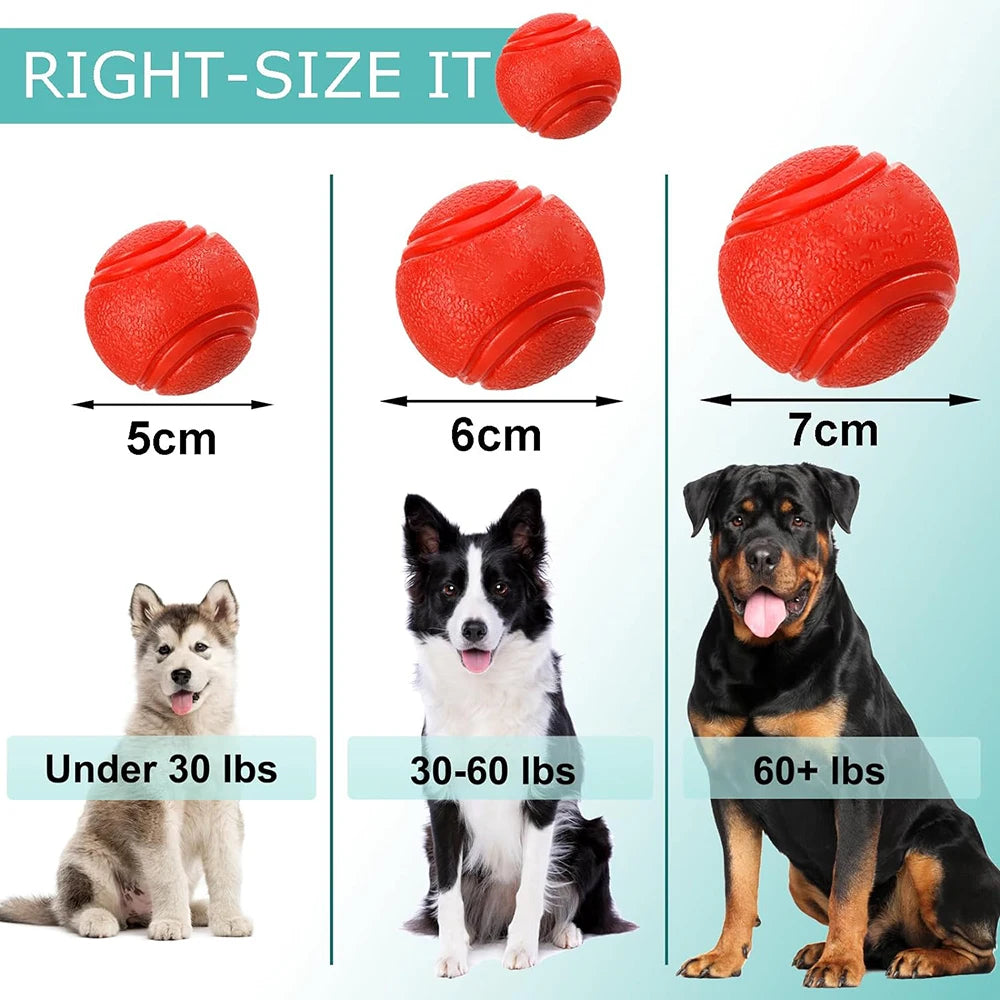 Bite-Resistant Rubber Dog Ball Toy