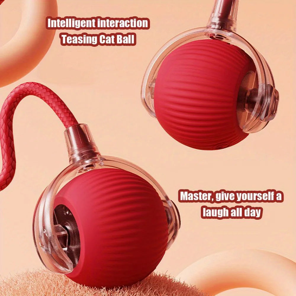 Rechargeable Interactive Cat Ball Toy