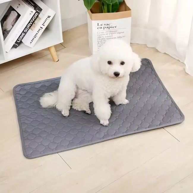 Washable Dog Pee Pad Main Image
