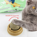 Catnip Wall Ball Cat Toy