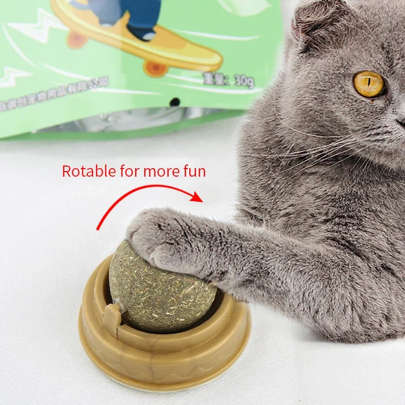 Catnip Wall Ball Cat Toy