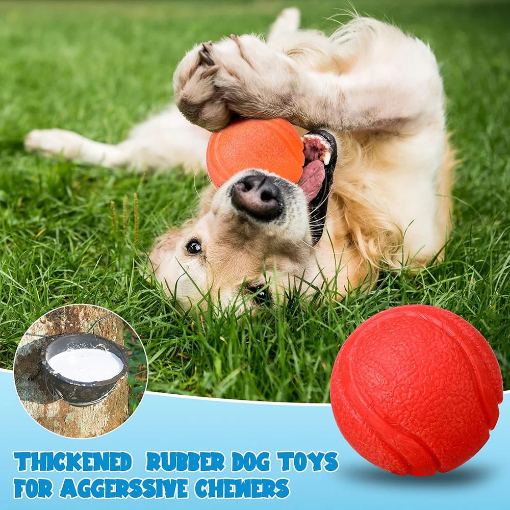 Bite-Resistant Rubber Dog Ball Toy