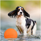 Soft Silicone Flying Disc Dog Toy