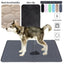 Washable Dog Pee Pad