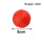 Bite-Resistant Rubber Dog Ball Toy