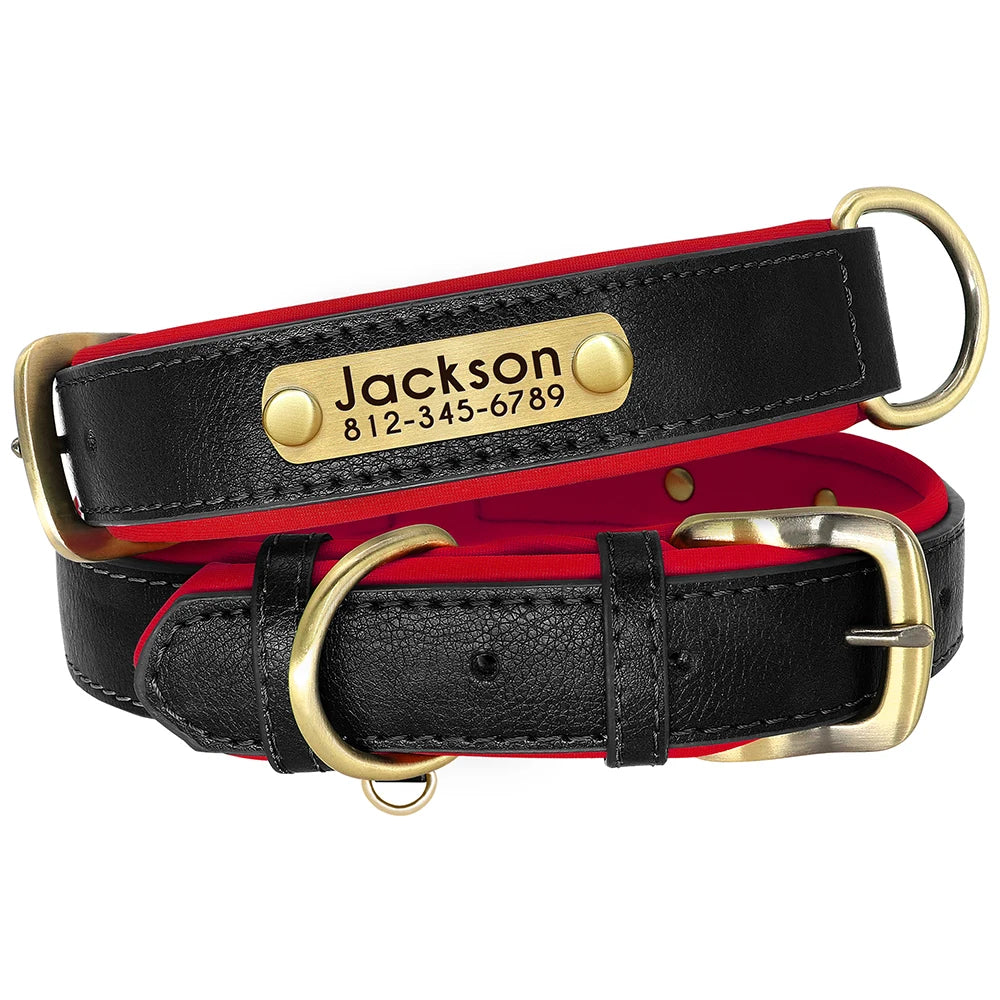 Personalized Engraved Dog Collar