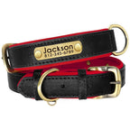 Personalized Engraved Dog Collar